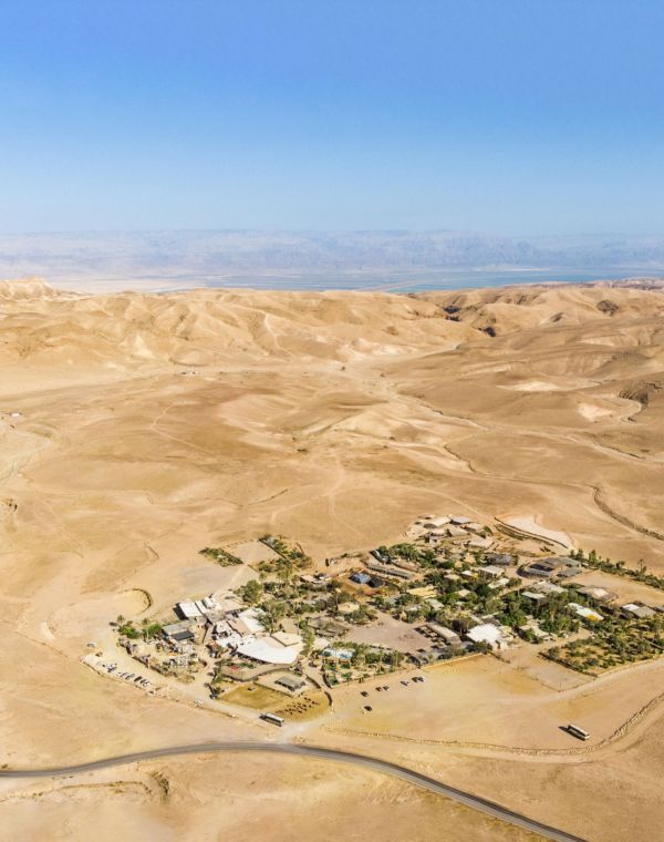 תמונה של כפר הנוקדים: חופשה מדברית - למטייל בישראל (טיולי)